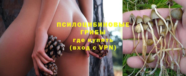 mix Лиски