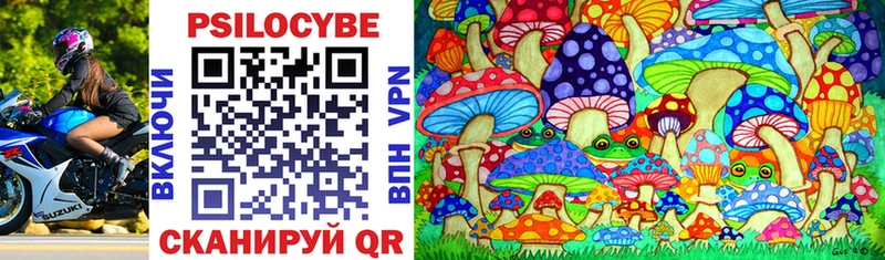 Купить закладки  Чегем  Псилоцибиновые грибы Psilocybine cubensis 